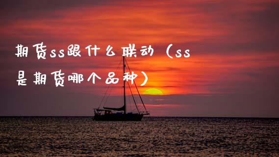 期货ss跟什么联动（ss是期货哪个品种）_https://www.boyangwujin.com_期货直播间_第1张