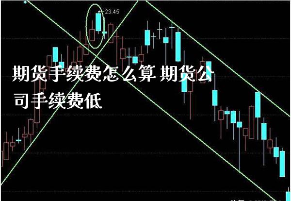 期货手续费怎么算 期货公司手续费低_https://www.boyangwujin.com_期货直播间_第1张