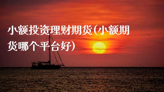 小额投资理财期货(小额期货哪个平台好)