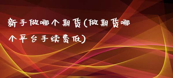 新手做哪个期货(做期货哪个平台手续费低)_https://www.boyangwujin.com_纳指期货_第1张