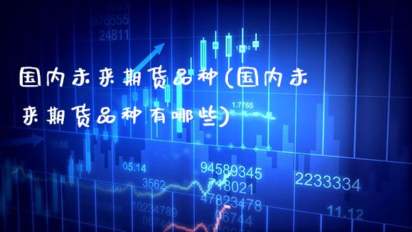 国内未来期货品种(国内未来期货品种有哪些)