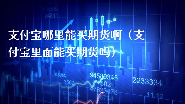 支付宝哪里能买期货啊（支付宝里面能买期货吗）_https://www.boyangwujin.com_期货直播间_第1张