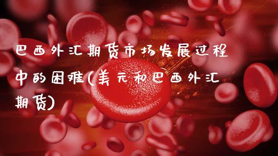 巴西外汇期货市场发展过程中的困难(美元和巴西外汇期货)