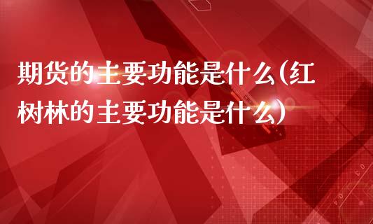 期货的主要功能是什么(红树林的主要功能是什么)_https://www.boyangwujin.com_原油期货_第1张