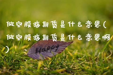 做空股指期货是什么意思(做空股指期货是什么意思啊)
