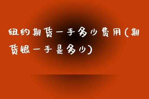 纽约期货一手多少费用(期货银一手是多少)_https://www.boyangwujin.com_原油直播间_第1张