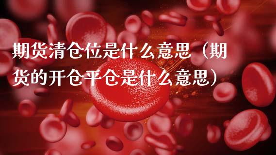 期货清仓位是什么意思（期货的开仓平仓是什么意思）_https://www.boyangwujin.com_期货直播间_第1张
