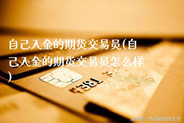 自己入金的期货交易员(自己入金的期货交易员怎么样)_https://www.boyangwujin.com_黄金期货_第1张