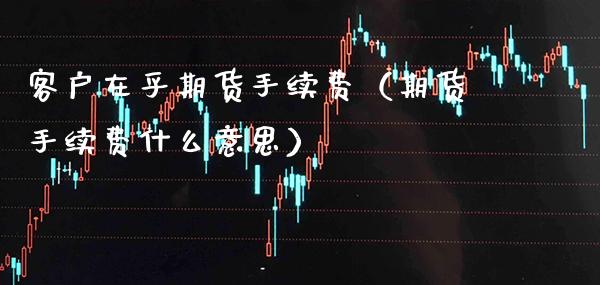 客户在乎期货手续费（期货手续费什么意思）