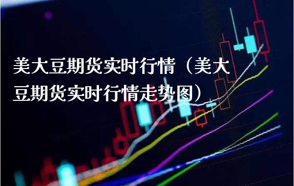 美大豆期货实时行情（美大豆期货实时行情走势图）