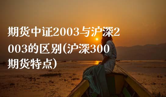 期货中证2003与沪深2003的区别(沪深300期货特点)_https://www.boyangwujin.com_期货直播间_第1张