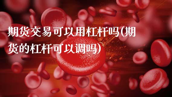 期货交易可以用杠杆吗(期货的杠杆可以调吗)