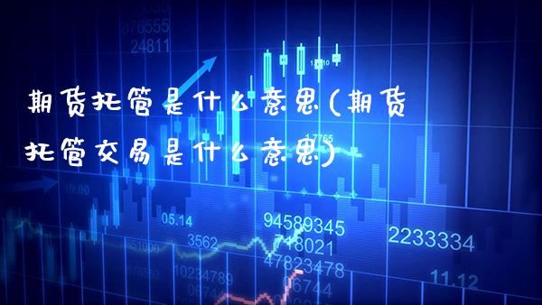 期货托管是什么意思(期货托管交易是什么意思)_https://www.boyangwujin.com_期货直播间_第1张