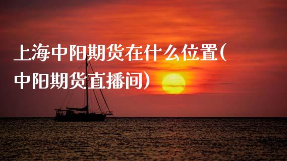 上海中阳期货在什么位置(中阳期货直播间)