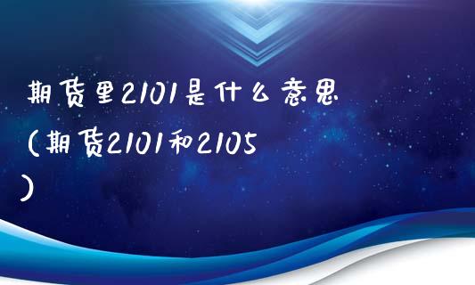 期货里2101是什么意思(期货2101和2105)_https://www.boyangwujin.com_期货直播间_第1张