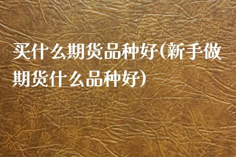 买什么期货品种好(新手做期货什么品种好)_https://www.boyangwujin.com_期货开户_第1张