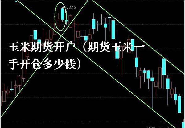 玉米期货开户（期货玉米一手开仓多少钱）