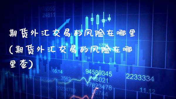 期货外汇交易的风险在哪里(期货外汇交易的风险在哪里查)_https://www.boyangwujin.com_纳指期货_第1张