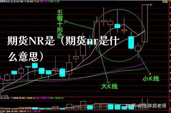 期货NR是（期货nr是什么意思）