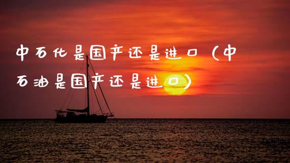中石化是国产还是进口（中石油是国产还是进口）