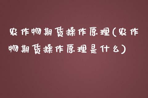 农作物期货操作原理(农作物期货操作原理是什么)_https://www.boyangwujin.com_期货直播间_第1张