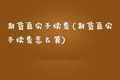 期货真实手续费(期货真实手续费怎么算)_https://www.boyangwujin.com_期货直播间_第1张