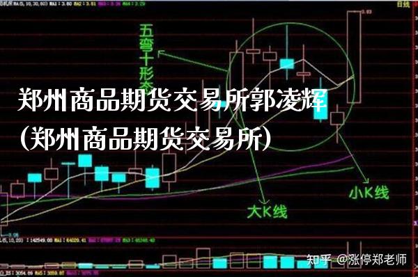 郑州商品期货交易所郭凌辉(郑州商品期货交易所)