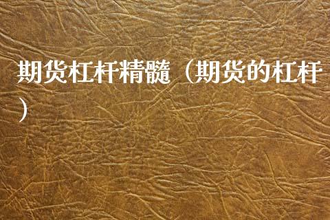 期货杠杆精髓（期货的杠杆）_https://www.boyangwujin.com_期货直播间_第1张