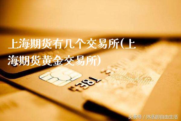 上海期货有几个交易所(上海期货黄金交易所)