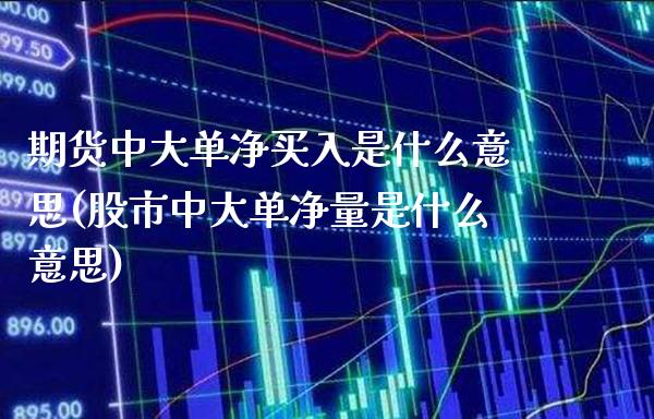 期货中大单净买入是什么意思(股市中大单净量是什么意思)_https://www.boyangwujin.com_内盘期货_第1张