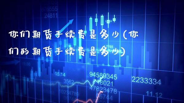 你们期货手续费是多少(你们的期货手续费是多少)_https://www.boyangwujin.com_原油期货_第1张