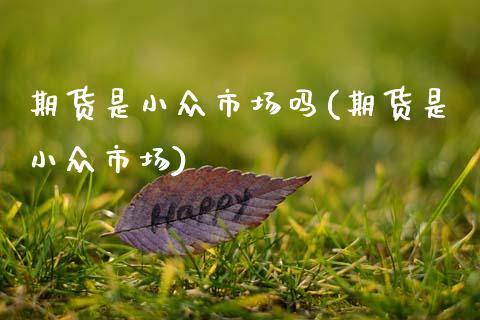 期货是小众市场吗(期货是小众市场)_https://www.boyangwujin.com_恒生指数_第1张