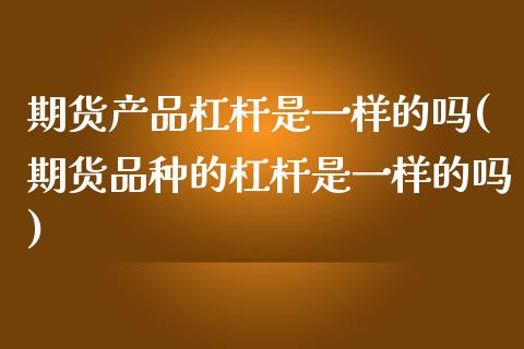 期货产品杠杆是一样的吗(期货品种的杠杆是一样的吗)_https://www.boyangwujin.com_恒生指数_第1张