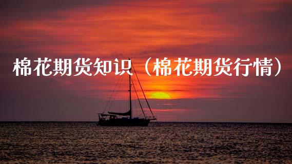 棉花期货知识（棉花期货行情）