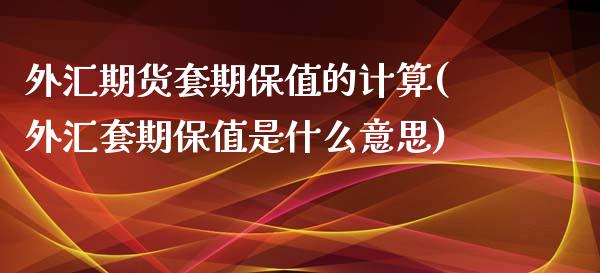外汇期货套期保值的计算(外汇套期保值是什么意思)