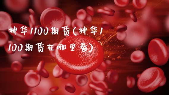 神华1100期货(神华1100期货在哪里看)_https://www.boyangwujin.com_期货直播间_第1张