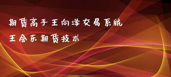 期货高手王向洋交易系统 王会东期货技术