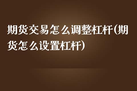 期货交易怎么调整杠杆(期货怎么设置杠杆)_https://www.boyangwujin.com_纳指期货_第1张