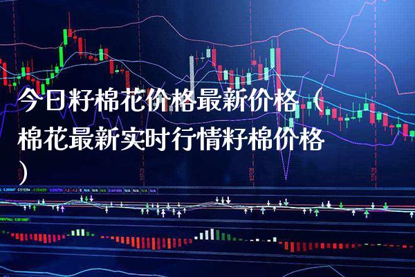 今日籽棉花价格最新价格（棉花最新实时行情籽棉价格）