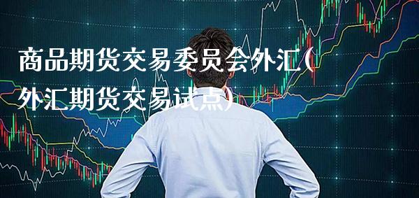 商品期货交易委员会外汇(外汇期货交易试点)_https://www.boyangwujin.com_恒生指数_第1张