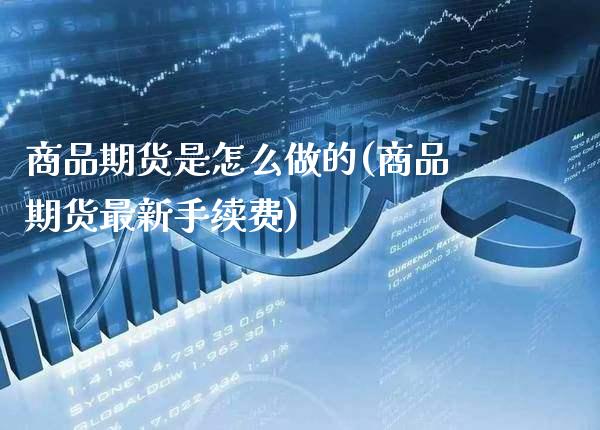 商品期货是怎么做的(商品期货最新手续费)_https://www.boyangwujin.com_原油期货_第1张