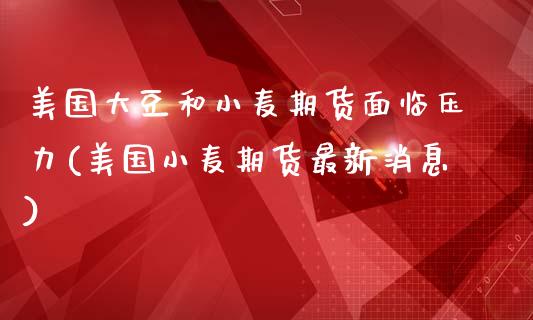 美国大豆和小麦期货面临压力(美国小麦期货最新消息)_https://www.boyangwujin.com_恒指期货_第1张