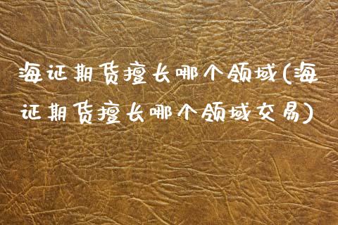 海证期货擅长哪个领域(海证期货擅长哪个领域交易)