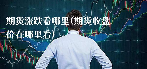 期货涨跌看哪里(期货收盘价在哪里看)