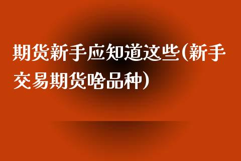 期货新手应知道这些(新手交易期货啥品种)_https://www.boyangwujin.com_纳指期货_第1张