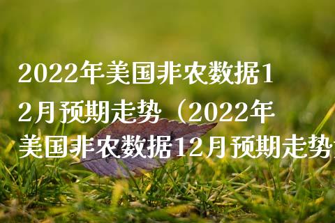 2022年美国非农数据12月预期走势（2022年美国非农数据12月预期走势如何）