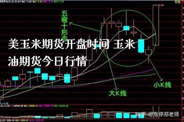 美玉米期货开盘时间 玉米油期货今日行情