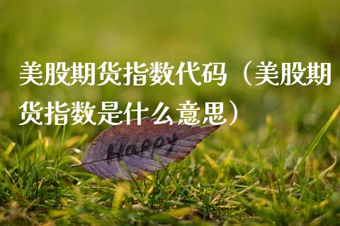 美股期货指数代码（美股期货指数是什么意思）_https://www.boyangwujin.com_恒生指数_第1张