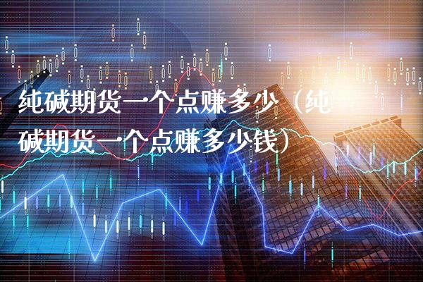 纯碱期货一个点赚多少（纯碱期货一个点赚多少钱）_https://www.boyangwujin.com_原油期货_第1张