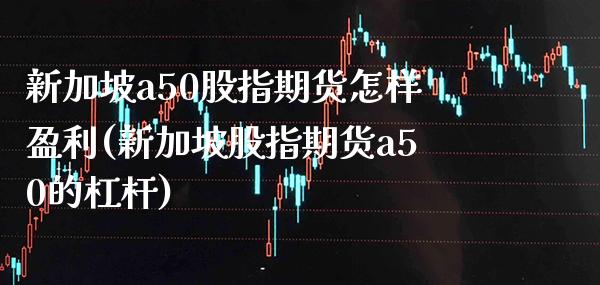 新加坡a50股指期货怎样盈利(新加坡股指期货a50的杠杆)